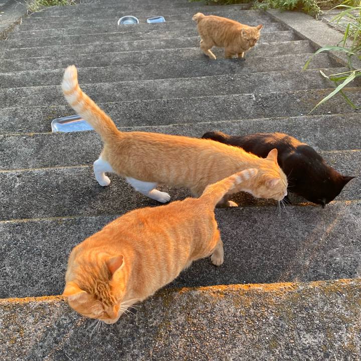 26991a56 3bdb 49f7 8660 2838040ee38b 1666434517045