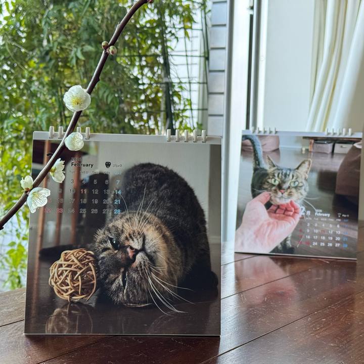 26994ec6 e238 4876 93be 90b57b8f44cf 1769921616581