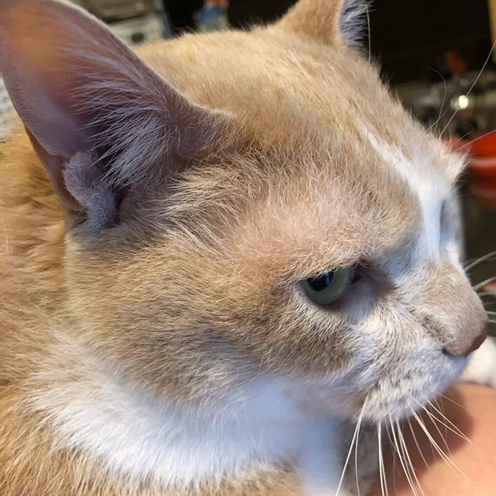 26995b6e 8e9b 4129 a524 30fa366270fb 1615594475004