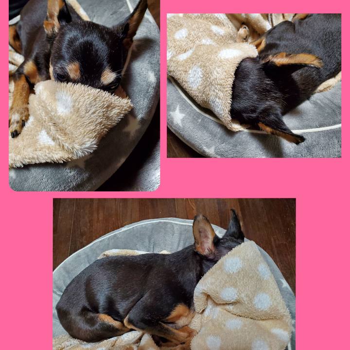 26995c83 cbf6 4ccd 920c f746e58102f3 1666676245247