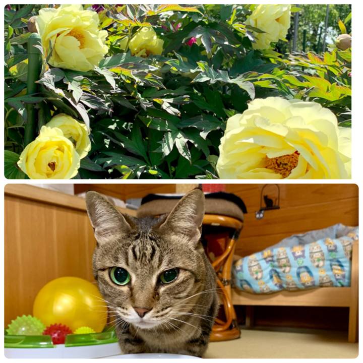 26999b94 5e91 4458 86f9 b539b490ccdb 1618130196928