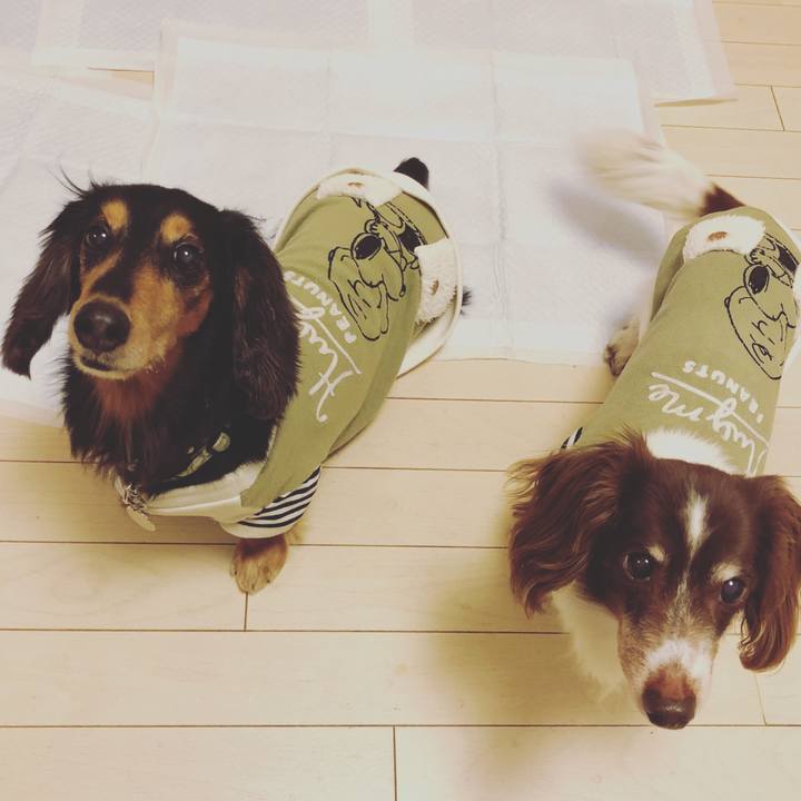 2699ad76 05ac 4245 9cf2 68c17827bed7 1549410657110