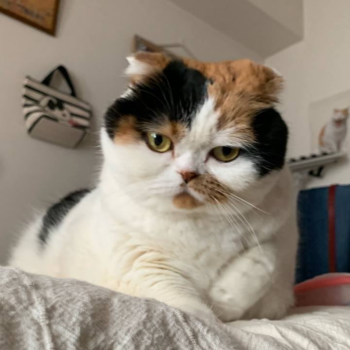 269a23d7 5125 4c7a aec1 707b742958d3 1577661854145