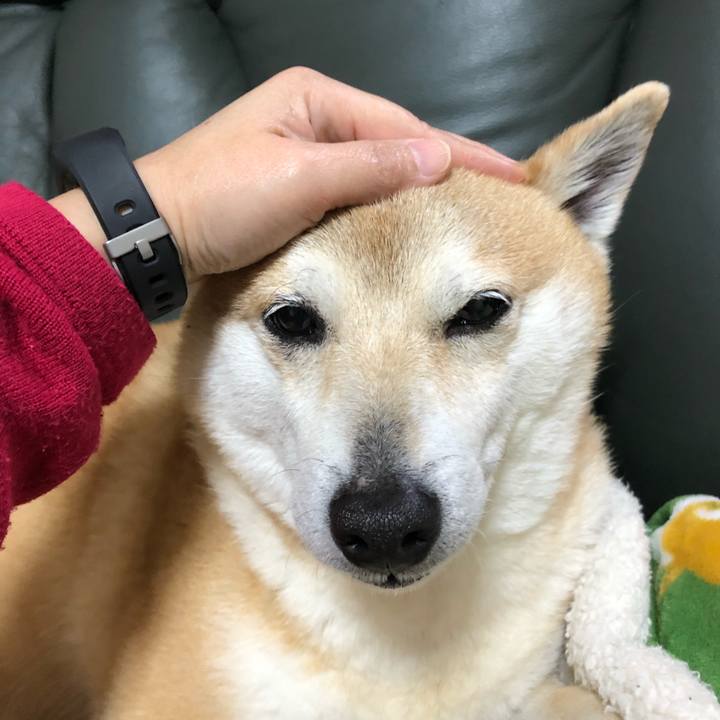 269a2543 dd99 43fc bdaf 679670c5dc59 1584453826577