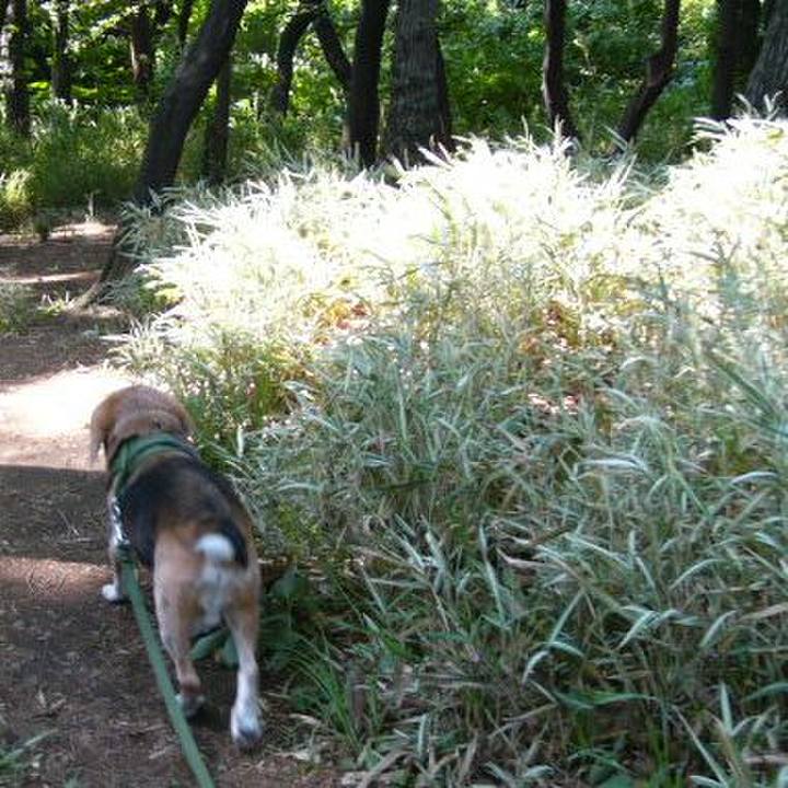 269a375c bfb1 4947 89c3 397e7bbcfee2 1664929248257