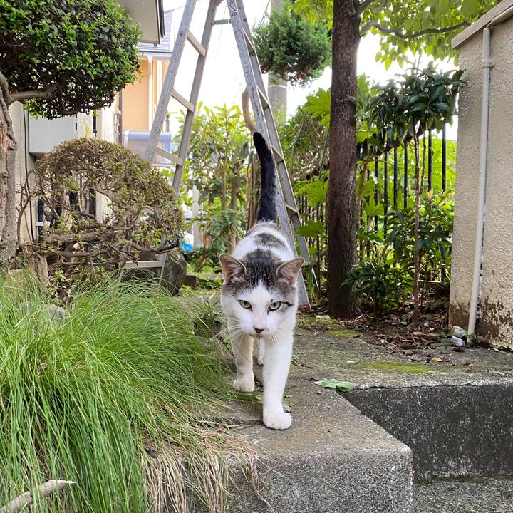 269a3d52 222c 4e6b bfbe 38e5f539d649 1593431193870