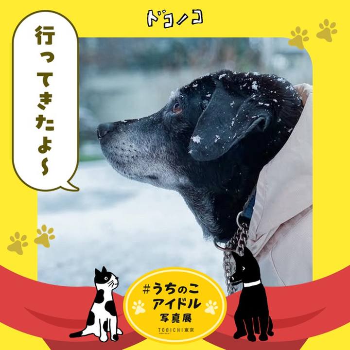 269a7350 94e5 42c2 9fe8 4ca7dca2f0a6 1761148600885