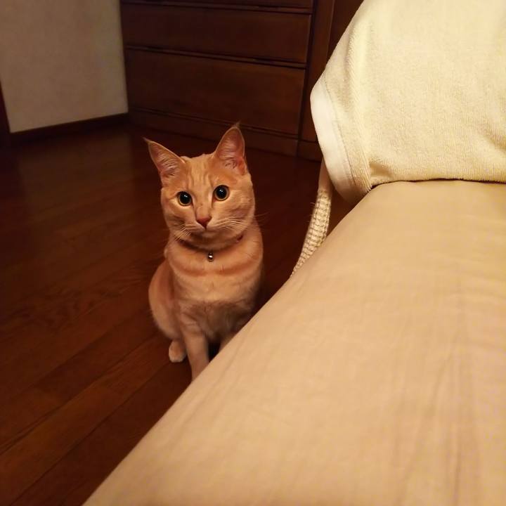 269a8416 a55d 462b 9f8c 17fc2a4957cc 1566098626577