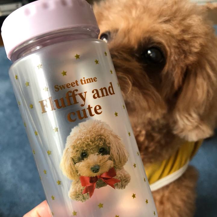 269a92e1 917f 43e8 957c 5206810856c5 1618365311182