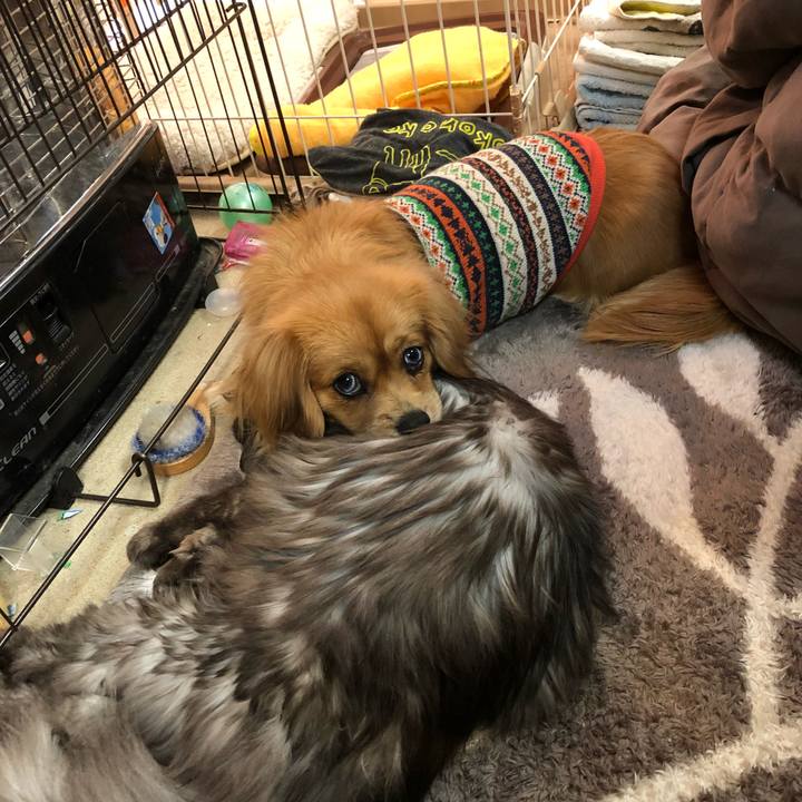 269a99ea 8e02 48aa 94c1 92d7f6582e82 1517351826706