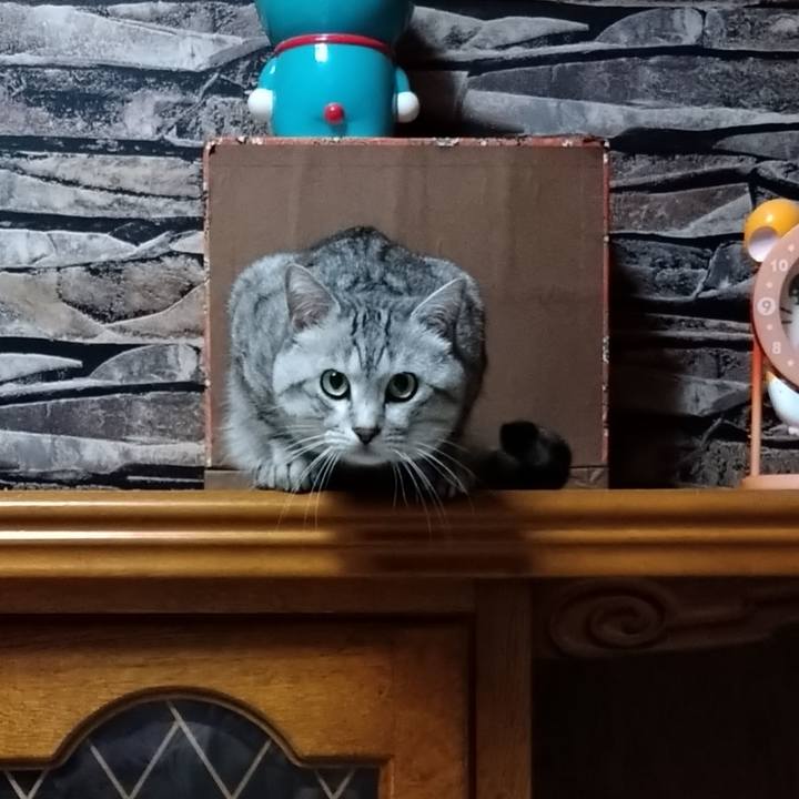 269a9a72 091b 4ee0 abea 2509bc33d3e4 1607435744409