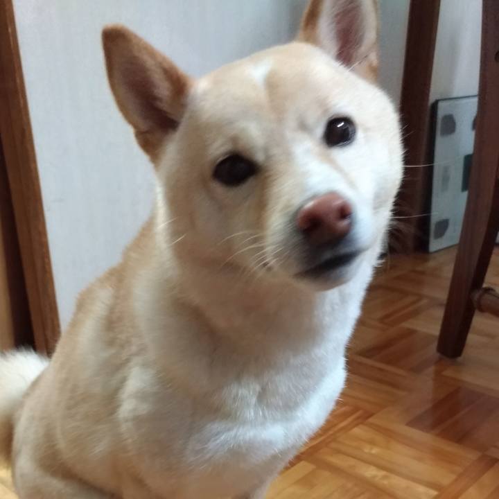 269a9ab7 aa86 4c16 beb2 964b7a23ef15 1561930526553