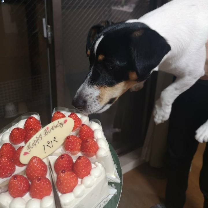 269aea09 81be 4264 9f86 d2e49deb5a5f 1541945490204