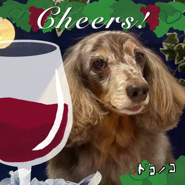 269b5f30 02c9 457d 9fb9 798fb33d8ea5 1761129818656