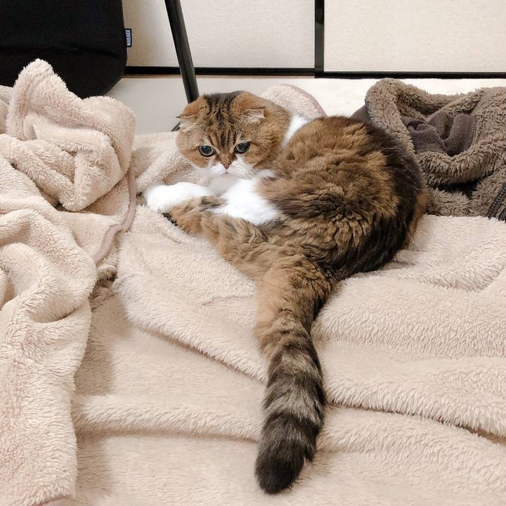 269b65c6 a742 4cad 9ed2 3852cbe7bc89 1606904732628