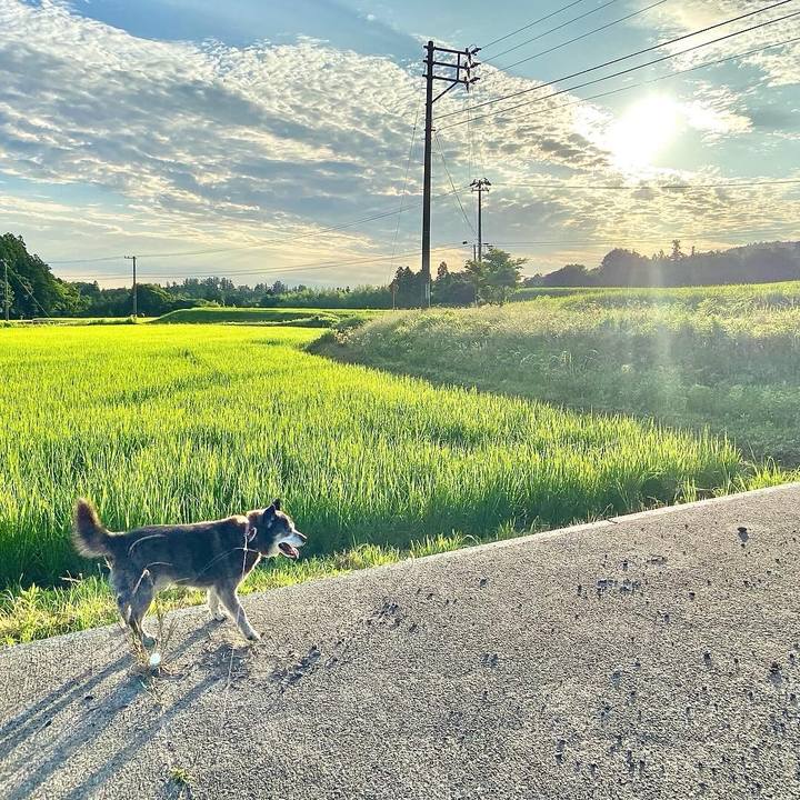 269b661c 97db 4240 b612 501f2c1a2259 1752100933067