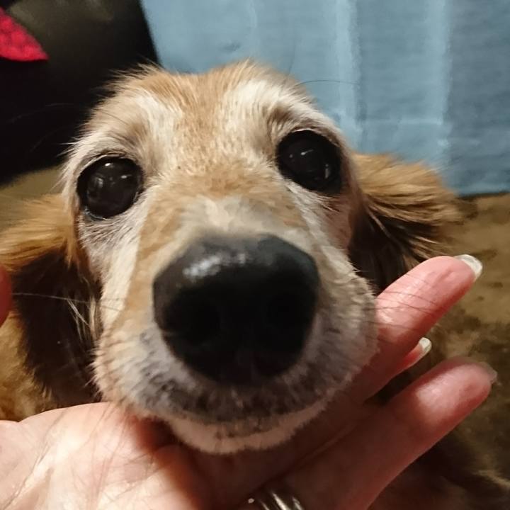 269b7a39 096d 4797 b7e3 d5f42b5b69fd 1509355945693