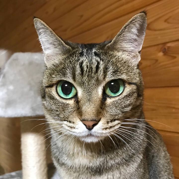 269bc84c 8623 476d 936b 8282ce6e05f3 1558877609365