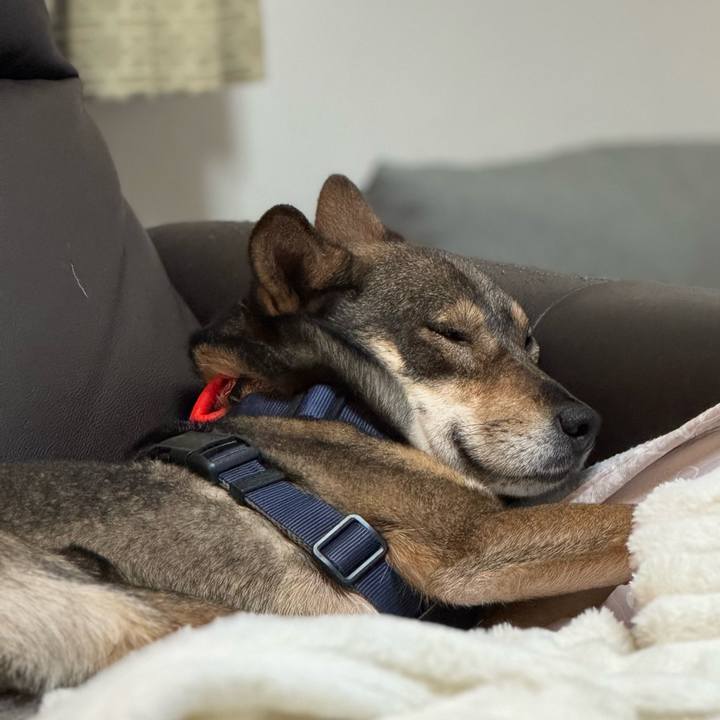 269bffa0 4ff4 45a5 a2f6 3315e44b3769 1766411849450