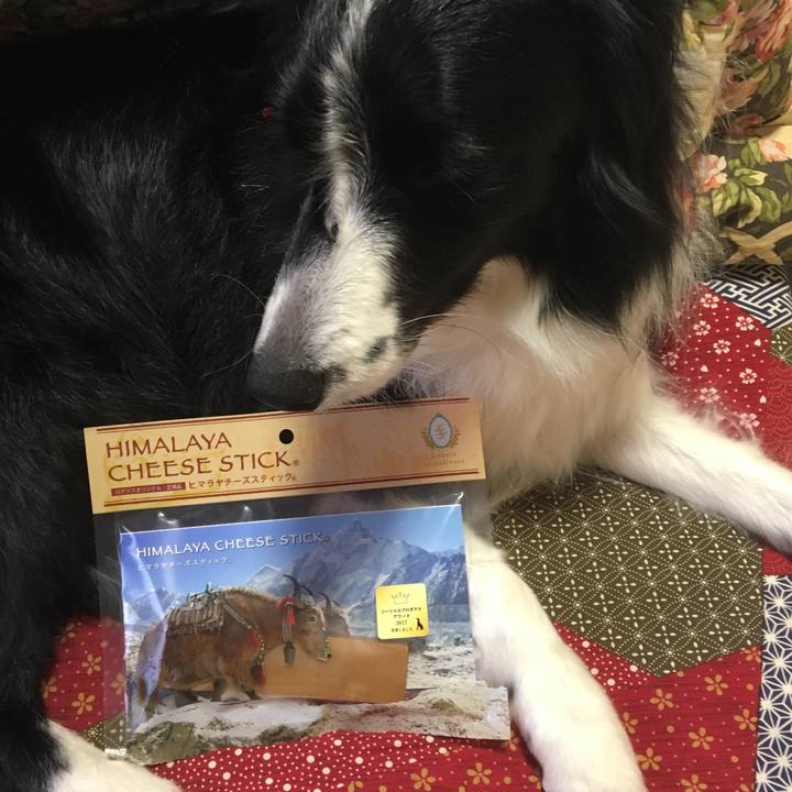 269c012b 0d12 48cc 9ebd 38641e2b1821 1519448184520