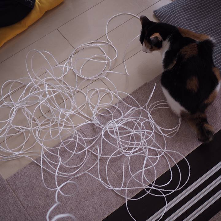 269c05ec 8cd6 4c72 8d65 bfc6f69a6329 1531093288562