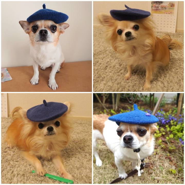 269c07e9 7b1c 4dc1 8e15 dd2bfd395483 1711974197468