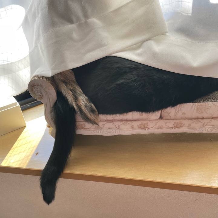 269c16de faeb 4bb4 b371 27774119cb0b 1674950378145