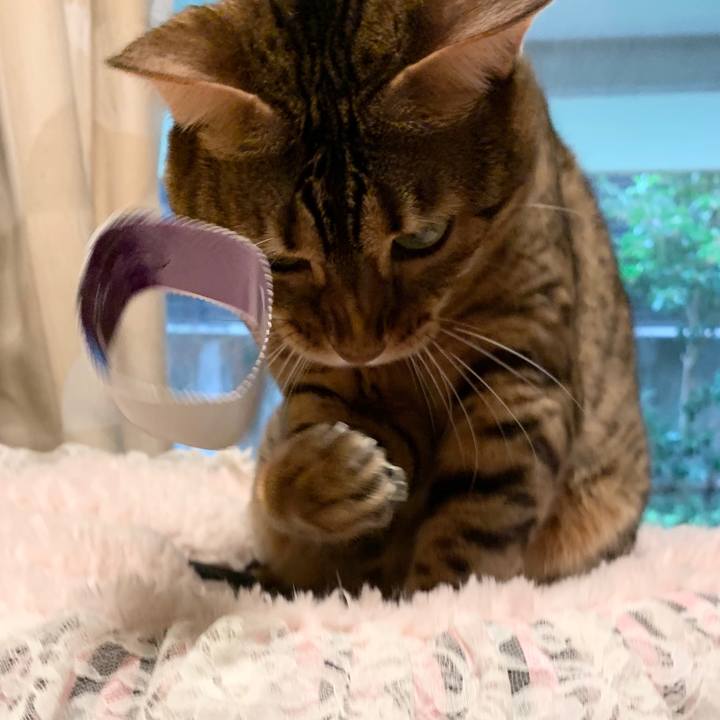 269c2f70 1cf1 4fef 8669 2837cb850a0f 1601933153564