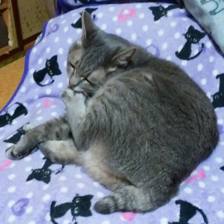 269c4c55 d288 4fb6 8feb d888c40a2e49 1542290685058