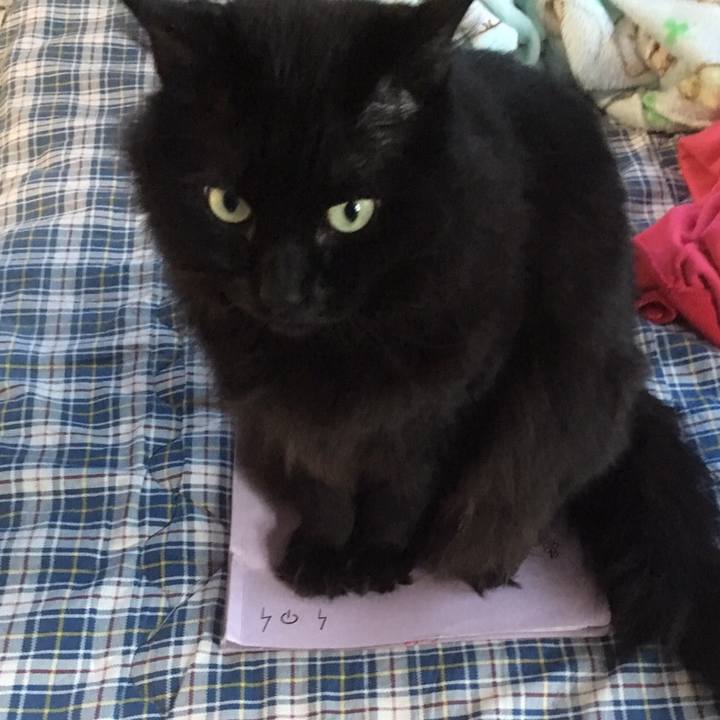 269c5eaf 9947 40c2 9295 468d852fd301 1511507848382