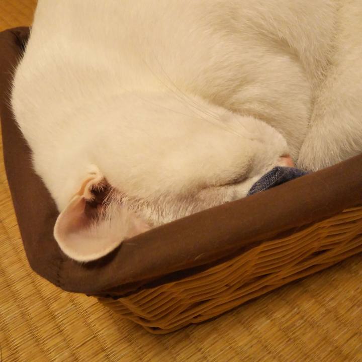 269c74ef ed75 4694 93b8 1ba852a10a7f 1540997144895