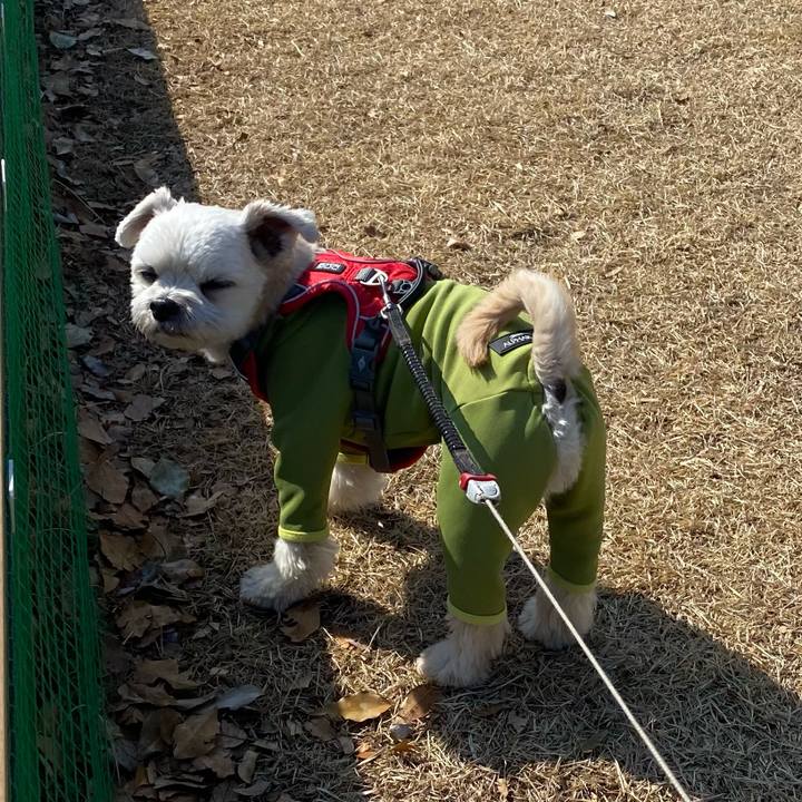 269c81dd eb7d 4499 9245 69a7dacd432c 1613206171995