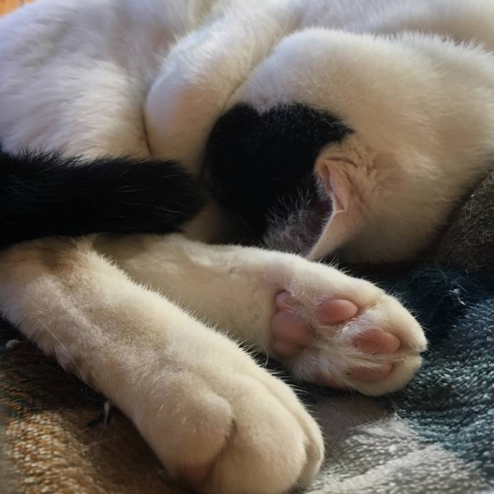 269d1ab9 a474 4ee6 a550 c8d722df12be 1510471500650