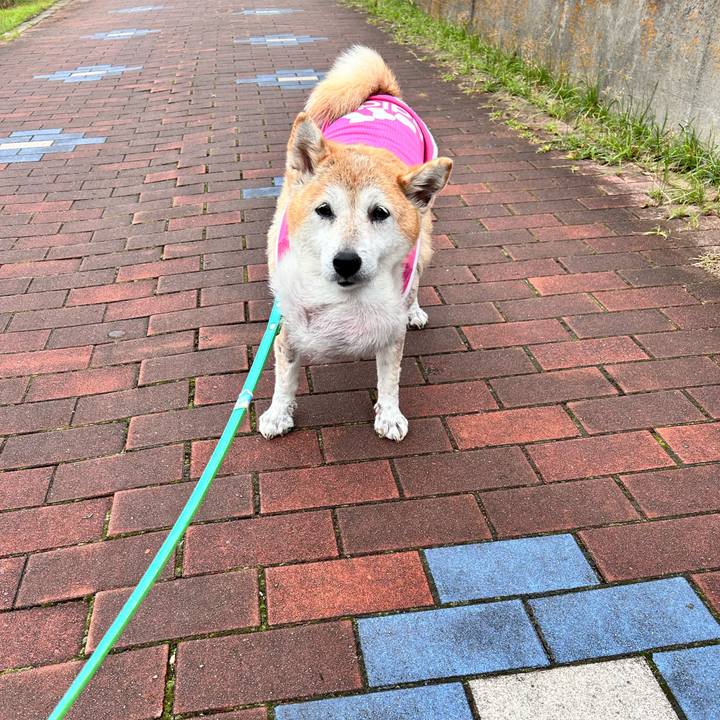 269d5e2a cd68 4aa9 a945 3e05136adebf 1761100378208