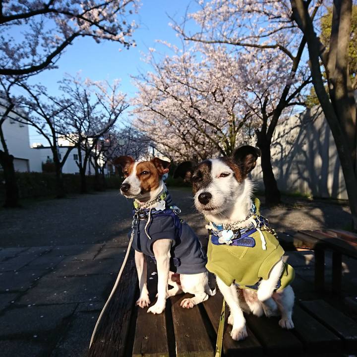 269d6783 9591 4f7c 978e 7b48d8a4a25f 1554156777363