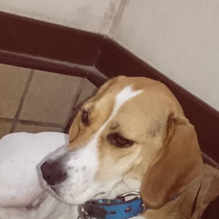 269d95ae 0239 4c11 8559 9d4b02ce7933 1570504168246