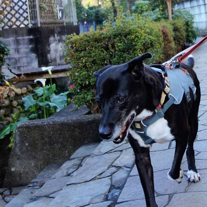 269dcee1 c372 4b8d 951d b610804a40ac 1732237984727