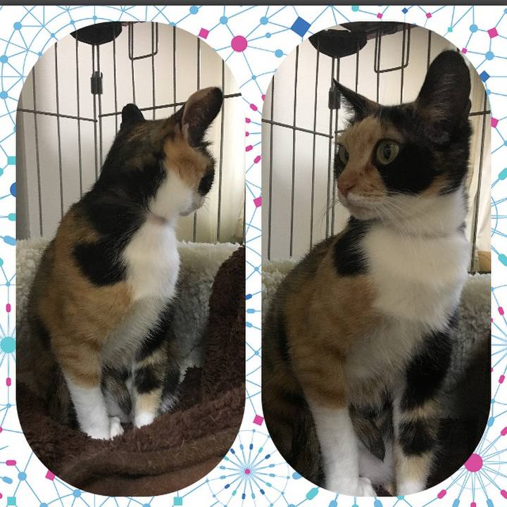 269de39a 27b0 4e13 b7b5 f4c5715df1f5 1508041970030