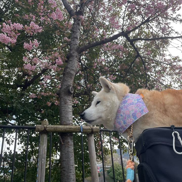 269e3097 1370 4938 832c e2ba2b2f3e14 1678010540981