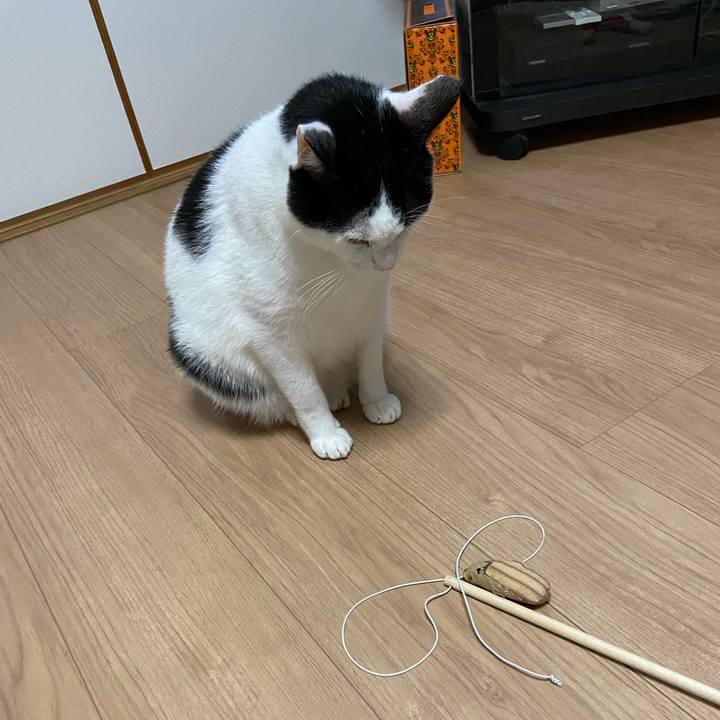 269e35db 28d1 4d35 b210 43f240e10f55 1577273105658