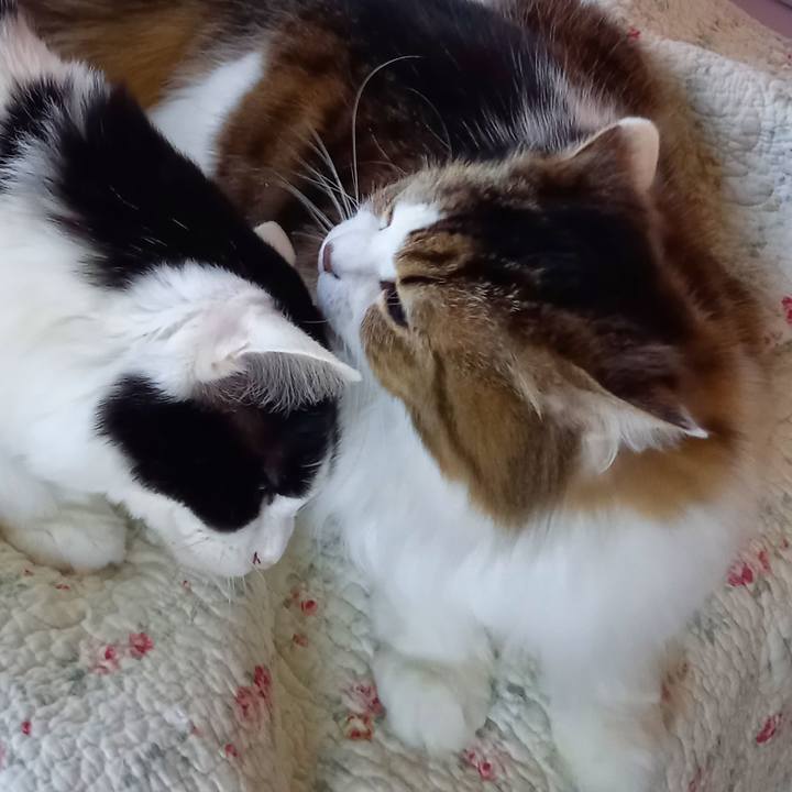 269e3d40 7606 40ab 833e fd24b01f7e48 1610323498486