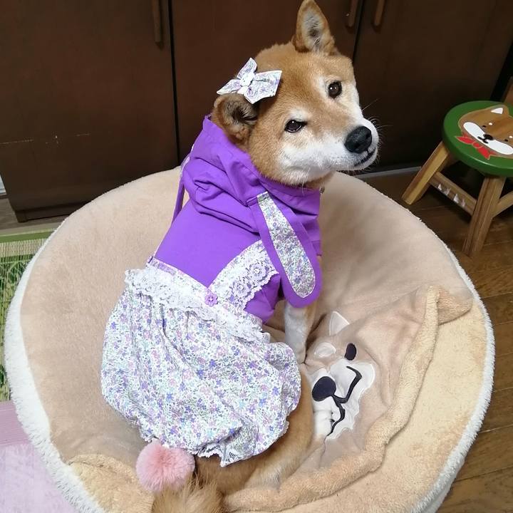 269e423d c673 41d6 94f9 cb1bc38639fb 1680331524421