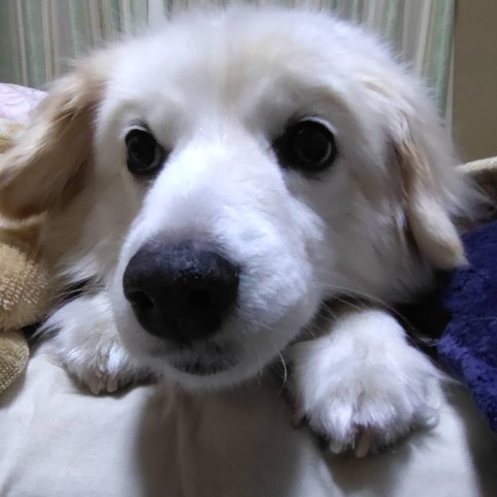 269ea8db f886 42d8 8910 6a43f917248a 1649763073916