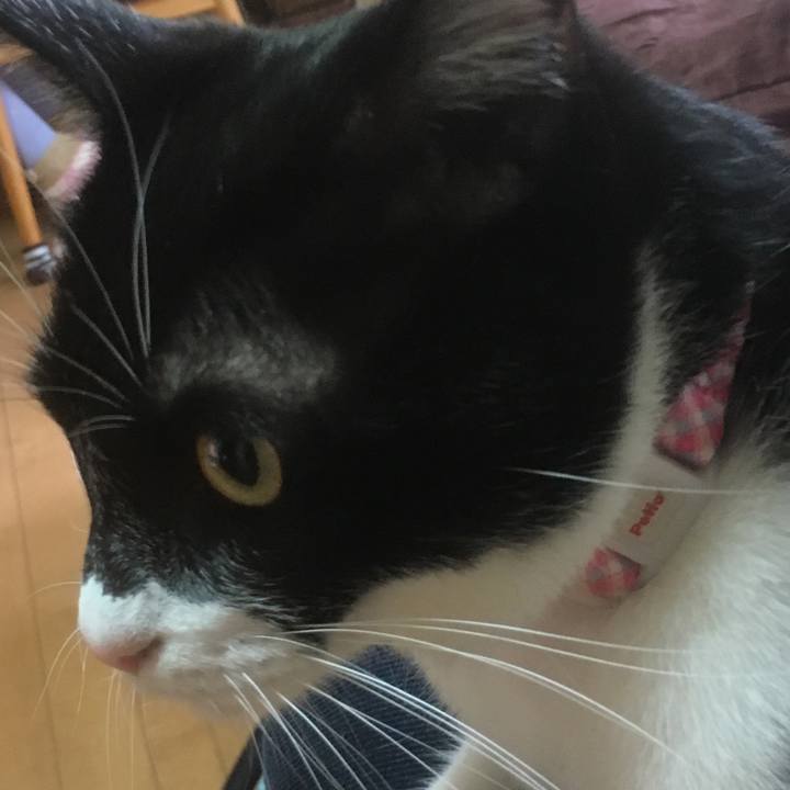 269f05e2 d7fd 4f89 8975 6208a5fad28f 1556589509066