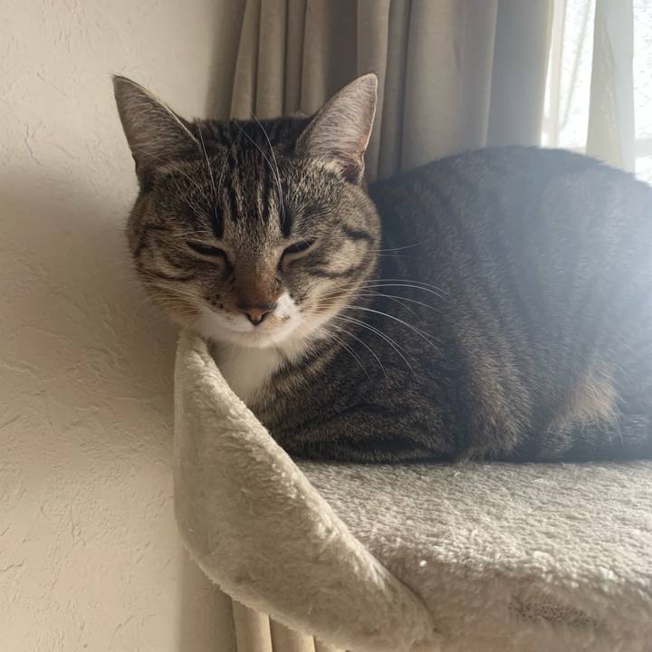 269f1a11 014f 4386 9e98 da1df645cc74 1547294678150