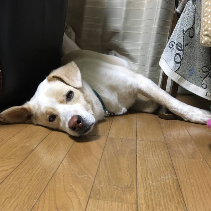 269f4cd8 f9cc 4550 94bc e1f03bd49a29 1530705233870