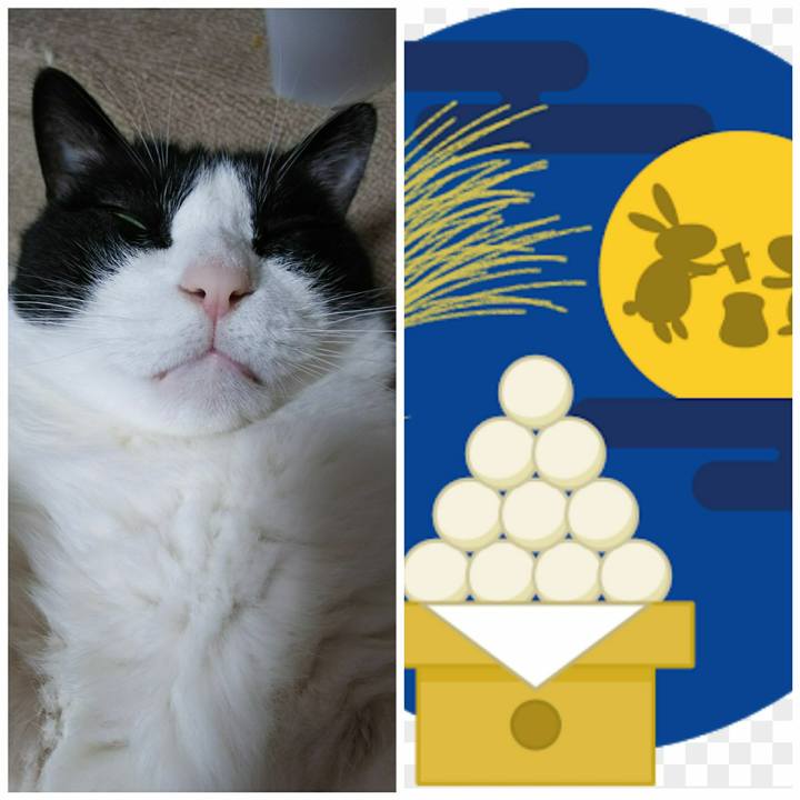 269fc694 3e47 4829 bf87 53348fb90e1a 1537101412932