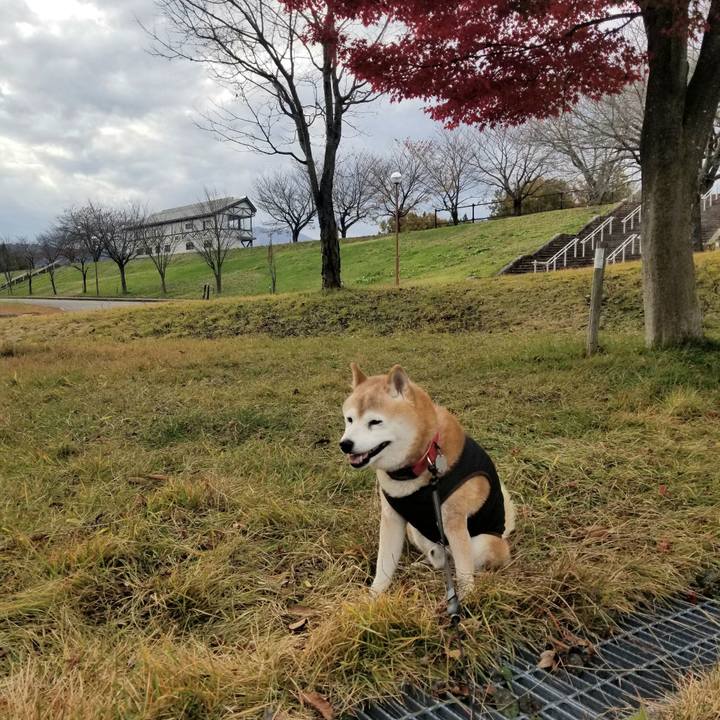 269ff70b c65e 48ee a73d 1ef76c554748 1731812860776