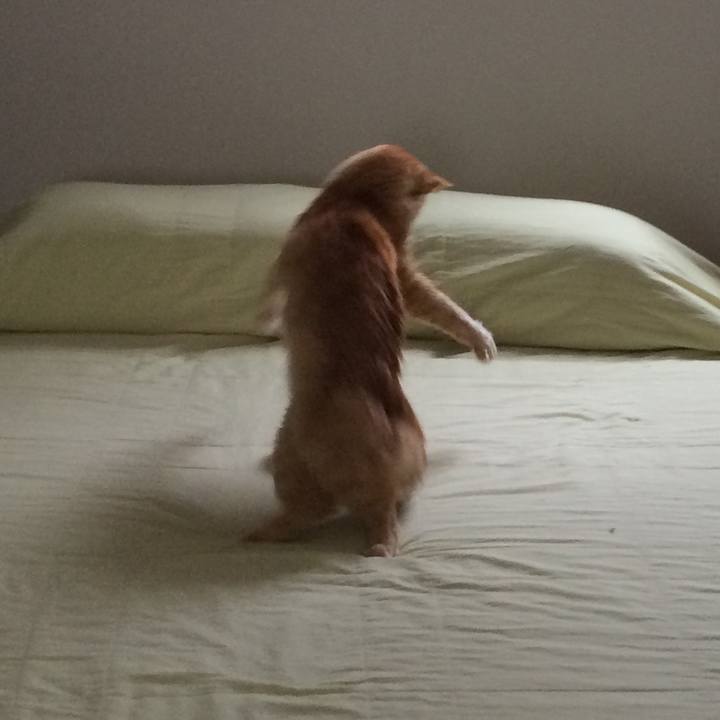 26a08b00 8ec4 40b4 9b1f 1605d4a536ca 1519659326540