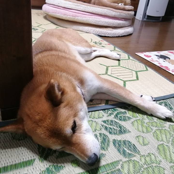 26a08ccc 79b6 44ba b248 dddacc388edc 1621239660988